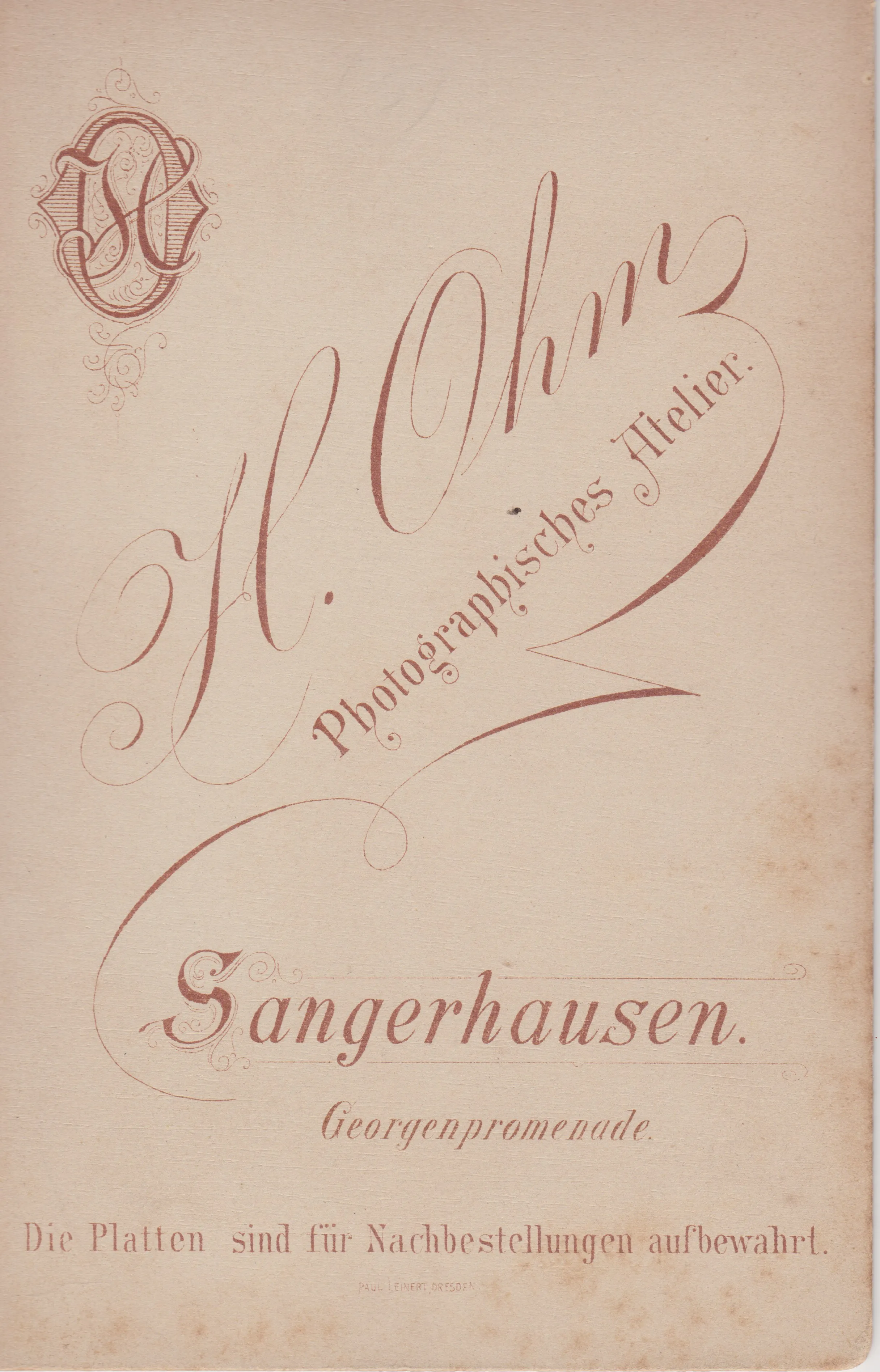 Ein weiteres Foto der jungen Dame und ihrer Dänischen Dogge