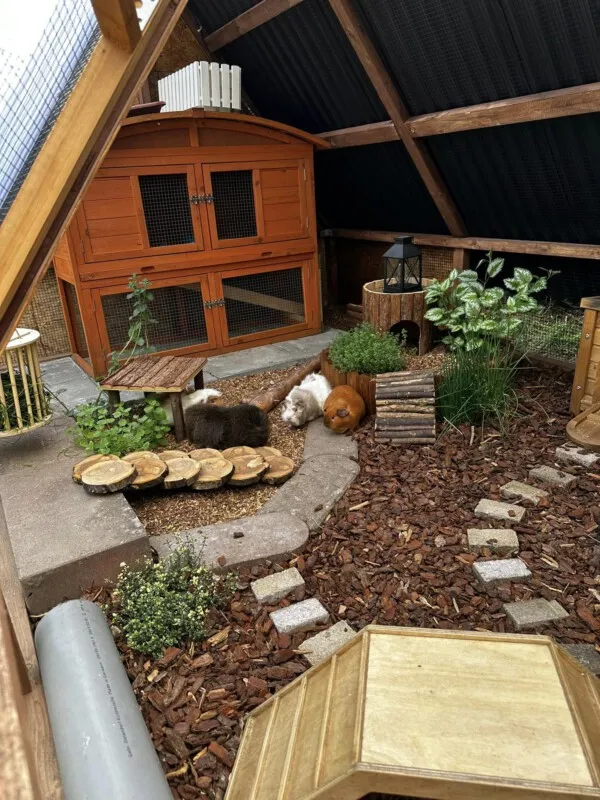 Ein weiteres Pyramidengehege für Meerschweinchen im Garten