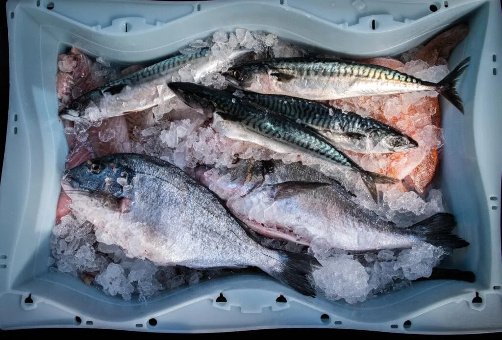 Eine Auslage mit frischem Fisch auf Eis, um Qualität und Frische für das Grillen zu gewährleisten.