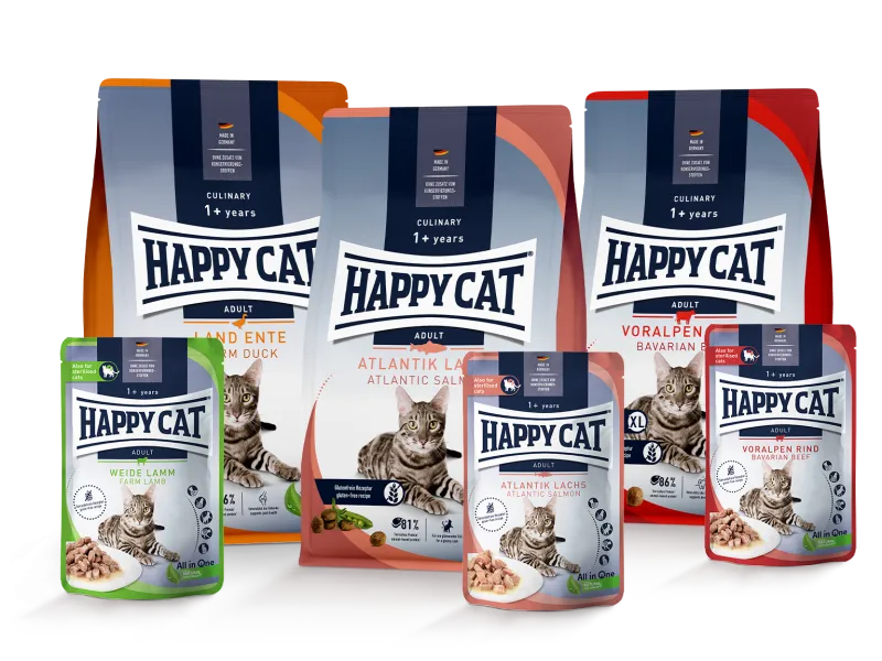 Eine Auswahl an hochwertigem Katzenfutter