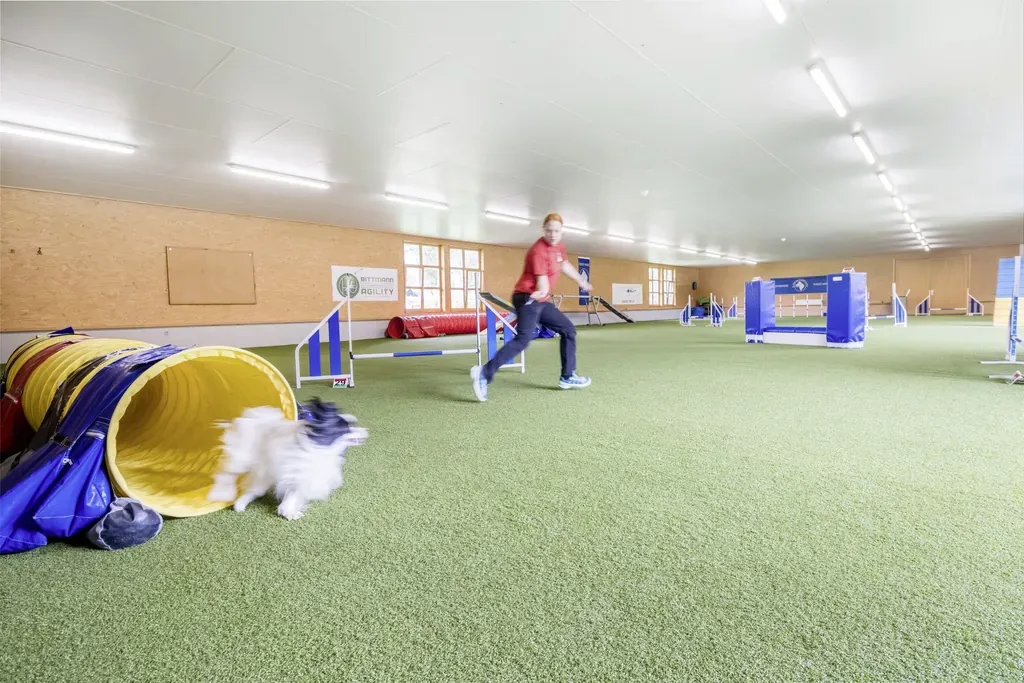 Eine junge Frau trainiert mit einer kleinen Hündin in der modernen Indoor-Trainingshalle des Hundesporthotel Wolf, einem spezialisierten Hotel mit Hund.