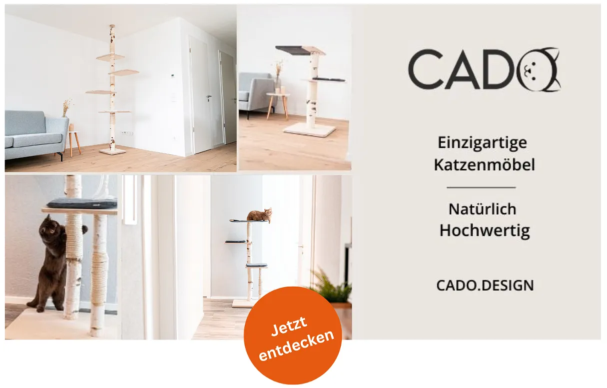 Eine Katze ruht entspannt auf einem stabilen Naturkratzbaum und beobachtet ihre Umgebung.