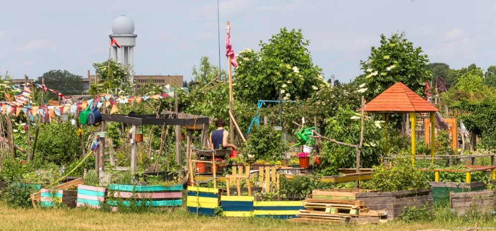 Eine Kleingartenanlage auf dem Tempelhofer Feld in Berlin