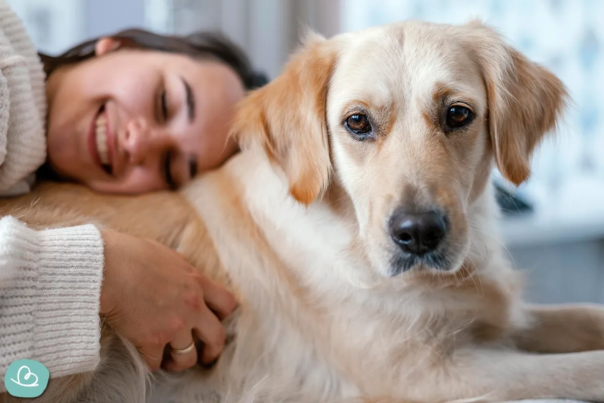 Eine lachende Frau schmust liebevoll mit einem Golden Retriever, einem beliebten süßen Haustier zum Kuscheln und treuen Begleiter.