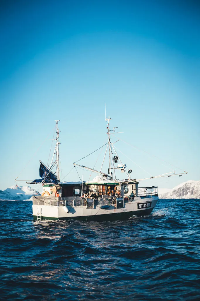 Eine malerische Küstenlandschaft in Norwegen, die für ihre hochwertigen Fischspezialitäten bekannt ist und kulinarische Inspirationen für die deutsche Küche bietet