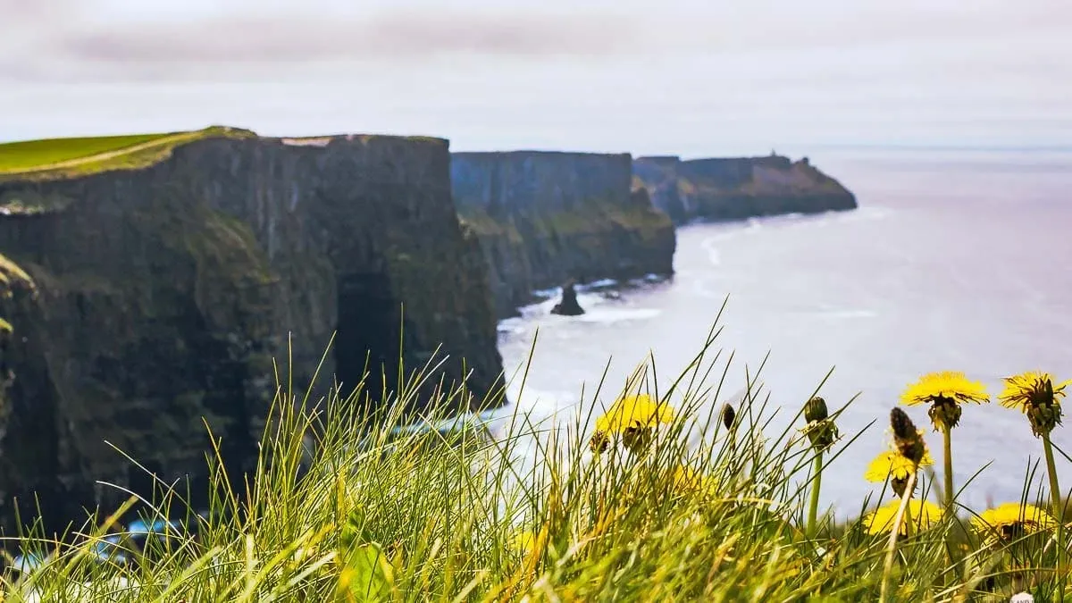 Eine malerische Landschaft in Irland, perfekt für eine zweiwöchige Rundreise mit dem Auto.