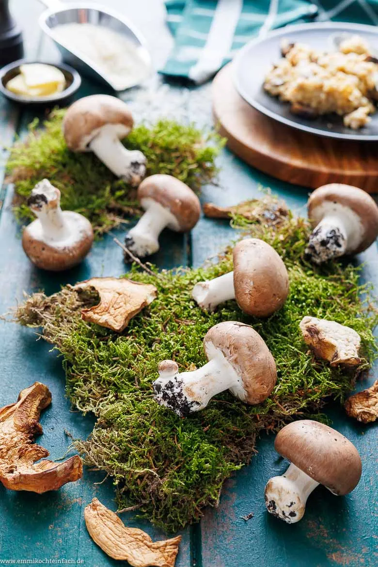 Eine Nahaufnahme von cremigem Pilzrisotto in einer weißen Schale, bestreut mit Käse und Kräutern