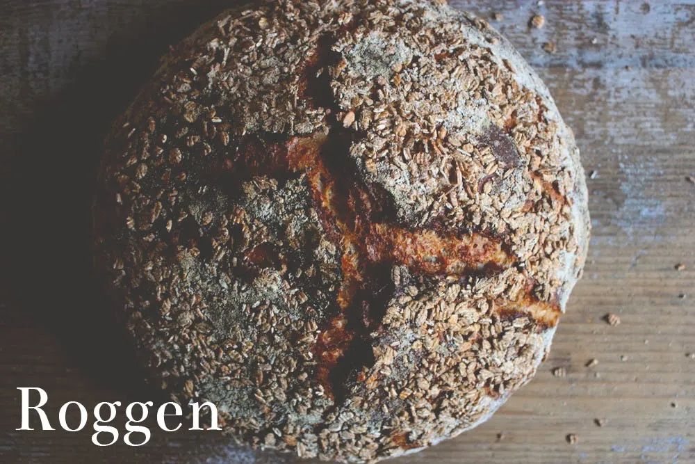 Eine Nahaufnahme von fermentierten Roggenkörnern