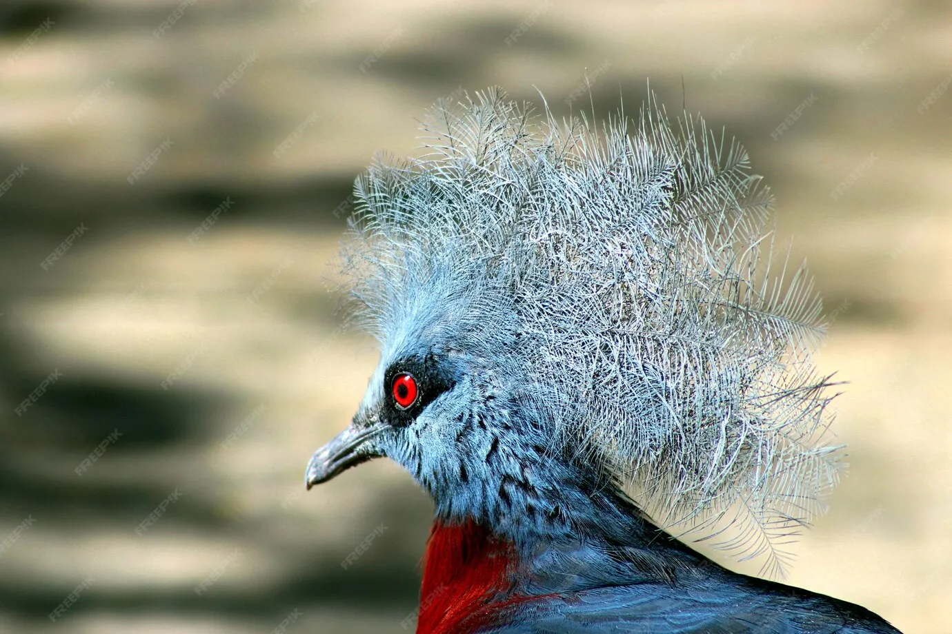 Eine Person, die ihr Lebensversicherungsdokument betrachtet und überlegt, ob sie es beleihen soll.