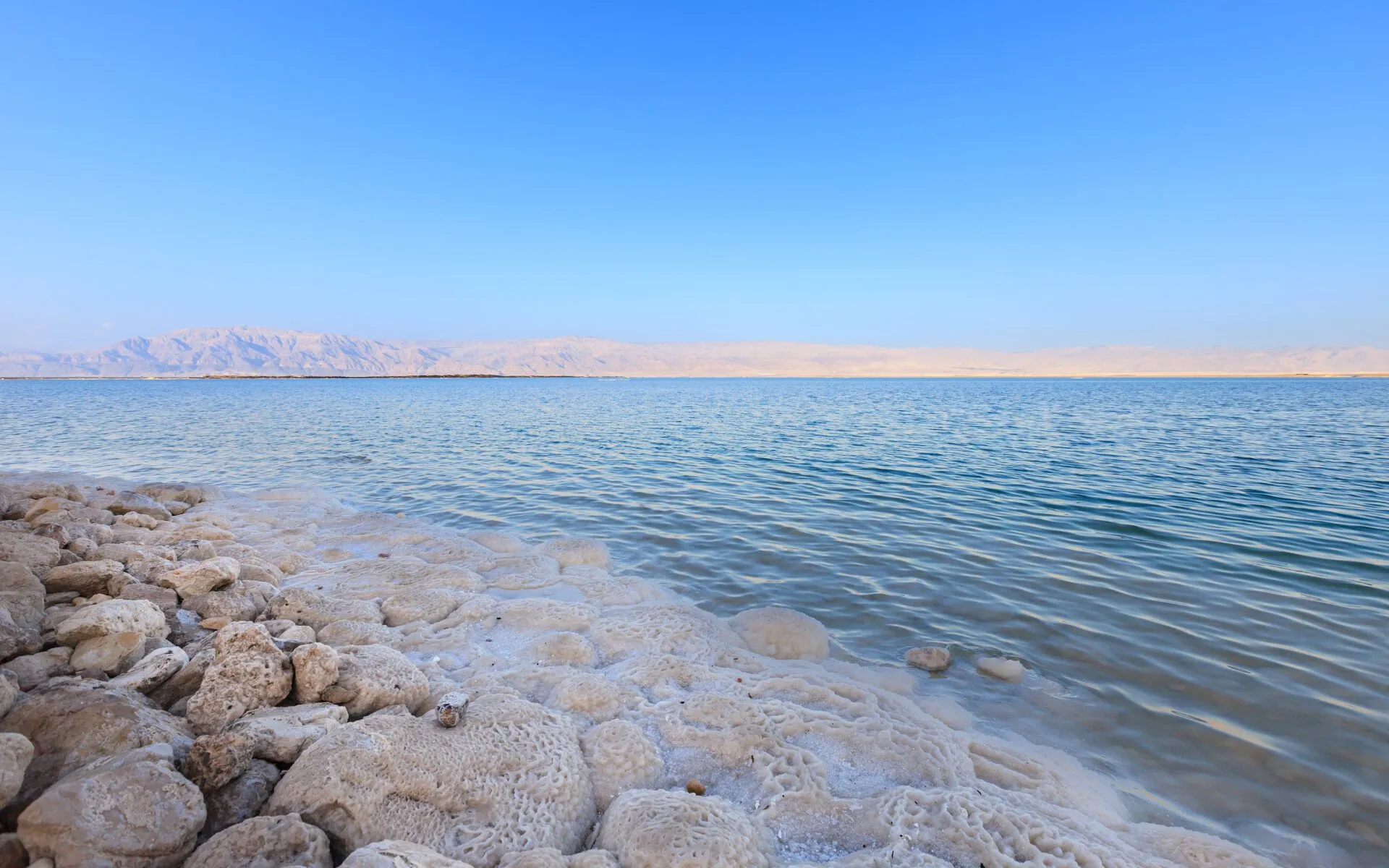Eine Person schwebt entspannt im Toten Meer