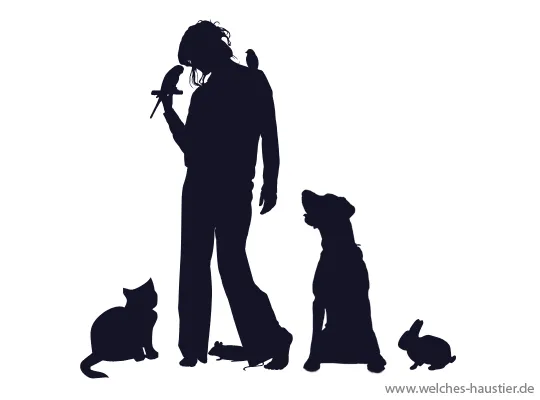 Eine Person streichelt einen Hund, der auf einer grünen Wiese liegt und Vertrauen signalisiert.