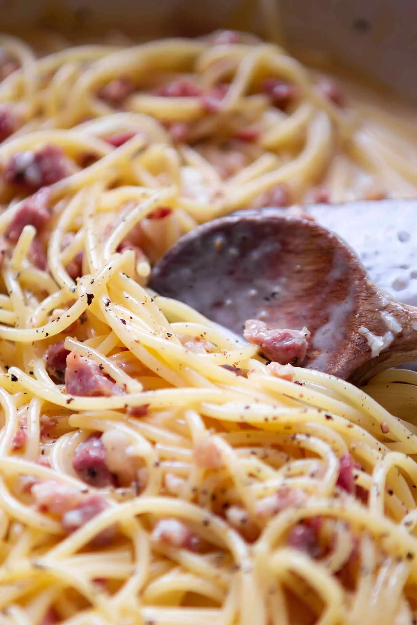 Eine Portion fertig zubereitete Spaghetti Carbonara auf einem Teller