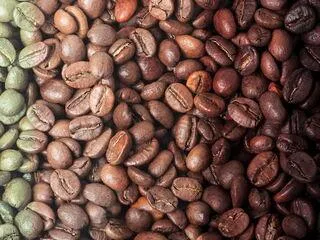 Eine Reihe von Kaffeebohnen, die unterschiedliche Röstgrade von hell bis dunkel veranschaulichen