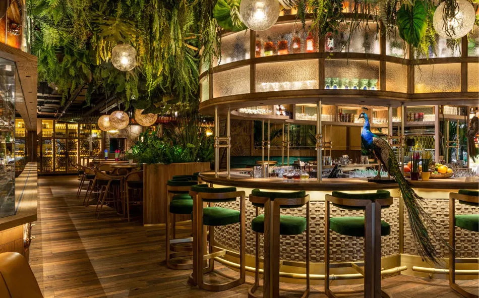 Eingangsbereich des Amazonico London bei Nacht, beleuchtet mit üppiger Dschungeldekoration