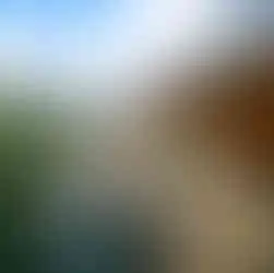 Eingangsbereich des Herrenhauses von Gut Groß Zecher