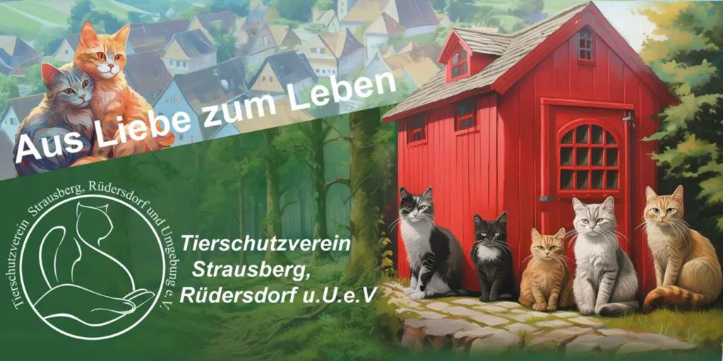 Einladendes Banner der Katzenauffangstation in Rüdersdorf, Tierschutzverein Strausberg, Rüdersdorf und Umgebung e.V.