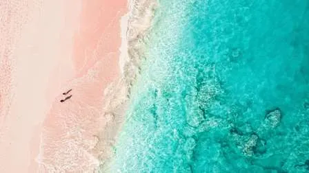 Einzigartiger rosa Sandstrand auf Bermuda, mit felsigen Küstenabschnitten und dem blauen Atlantik.