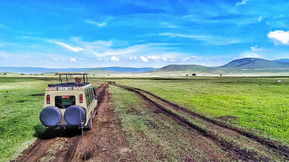 Elefantenherde in der Weite des Ngorongoro-Kraters in Tansania, ein Top-Fernreiseziel für Safaris im Sommer