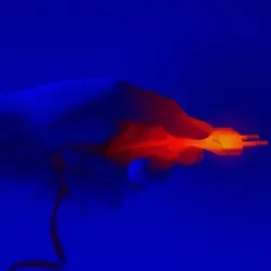 Energieeffizienz und Stromverbrauch von AEG Arctis Gefrierschränken