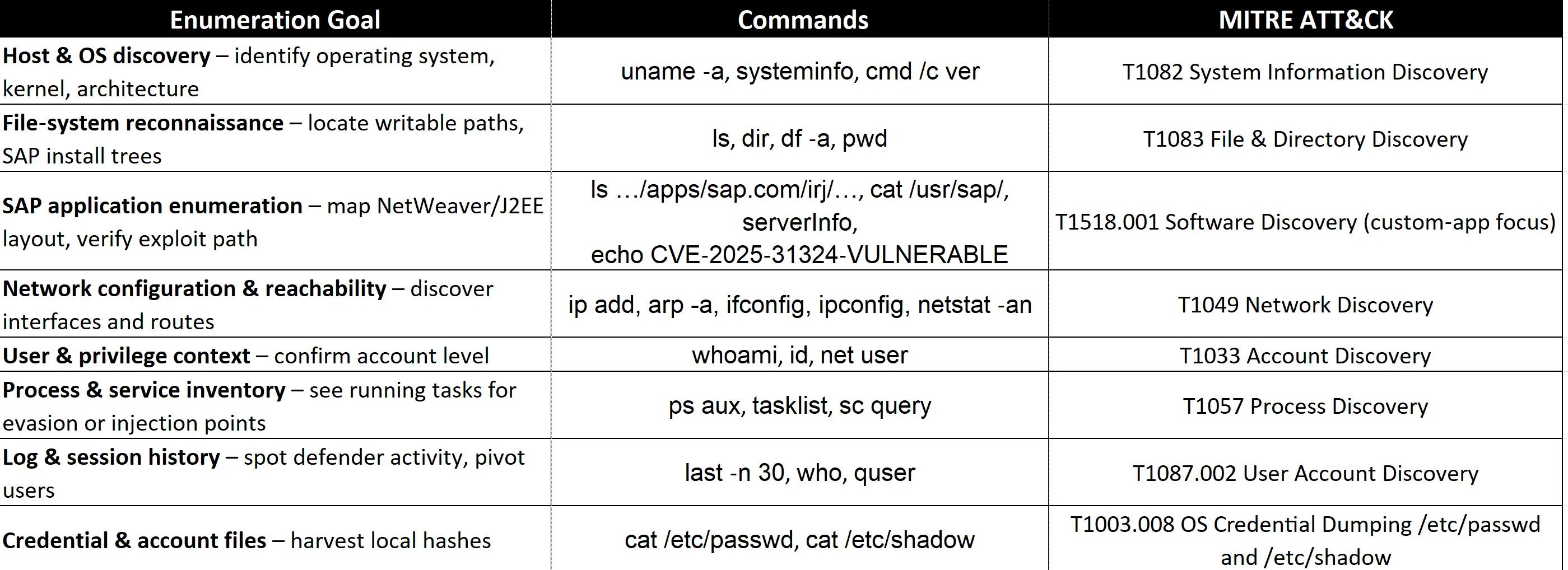 Enumerationsbefehle im Opfersystem ausgeführt