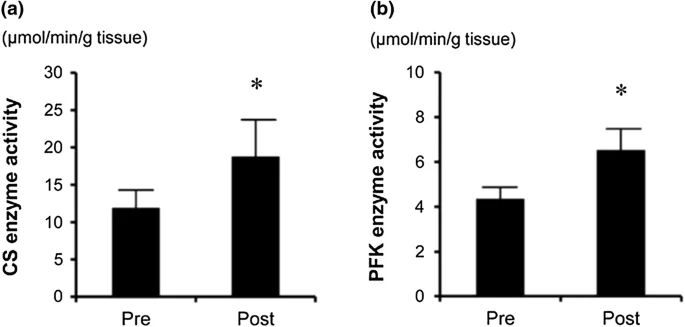 Enzymaktivitäten nach Tabata Training