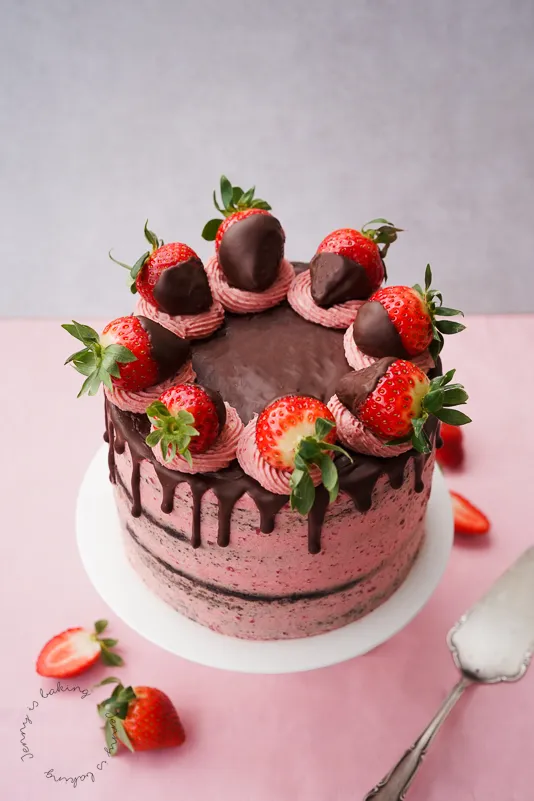 Erdbeer-Schoko-Torte mit frischen Erdbeeren und Schokolade dekoriert.