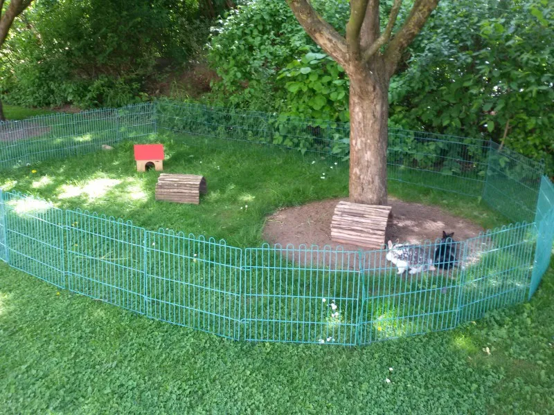 Erweiterbares Freilaufgehege für Kaninchen, das an ein festes Außengehege angeschlossen werden kann