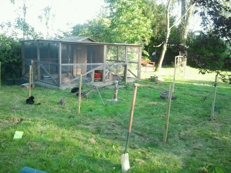 Erweitertes Kaninchengehege mit großzügigem Freilaufbereich, um den Bewegungsdrang der Hasen als Haustier zu fördern