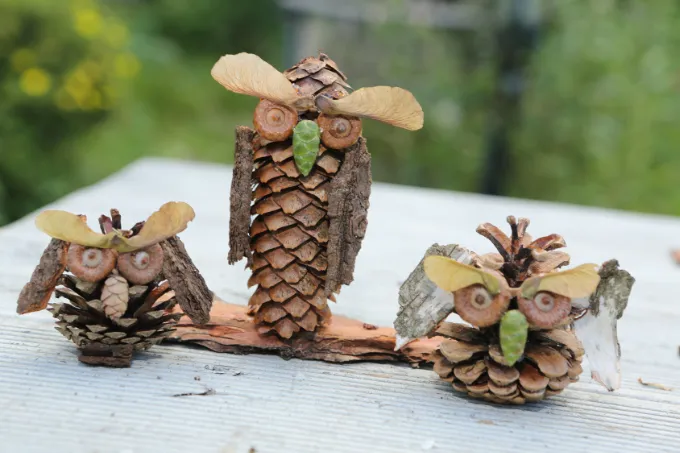 Eule basteln - Foto: NABU/Thomas Heß