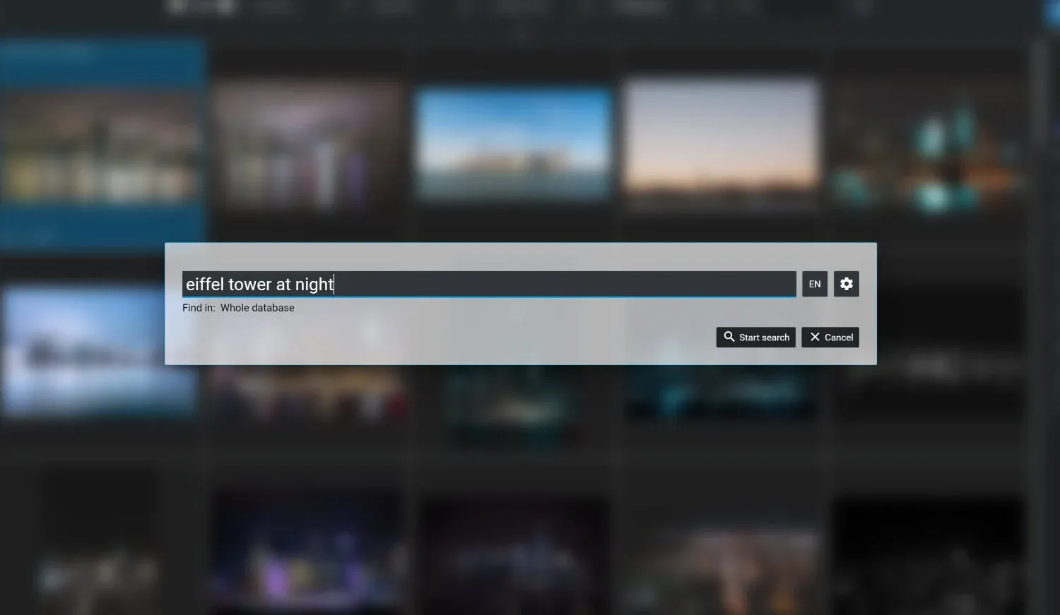 Excire Foto 2025 photo organizer prompt-search tool with 
