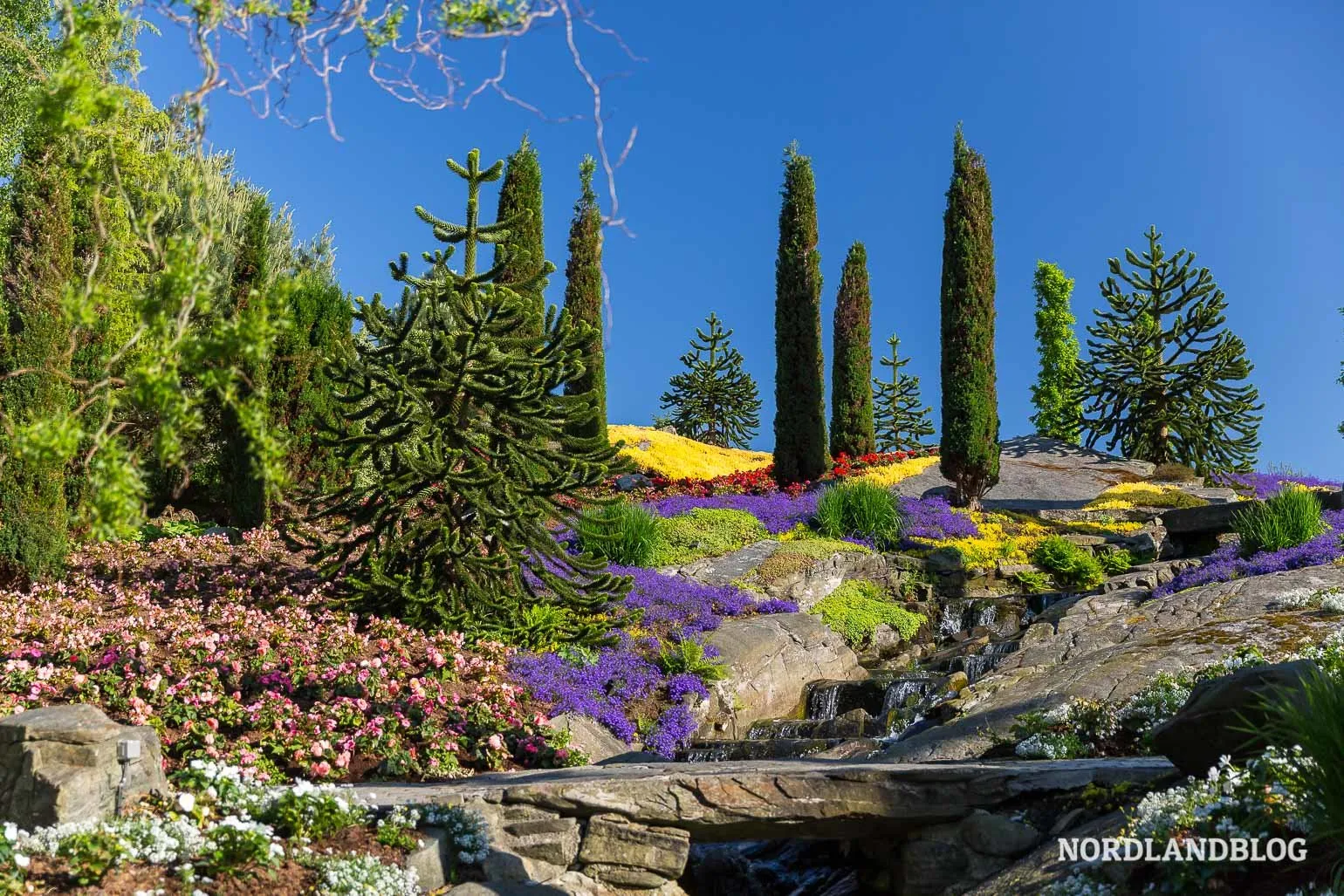 Exotische Palmen wachsen auf der Blumeninsel Flor og Fjæere vor Stavanger, ein überraschendes Highlight in Südnorwegen