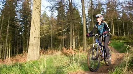 Fahrradfahrer auf einem malerischen Waldweg, ideale Alternative zu Joggen