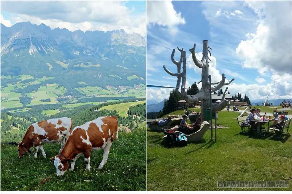 Familie genießt die Aussicht von einer Alm in den Kitzbüheler Alpen