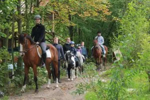 Familienreiten auf einem Reiterhof in der Lüneburger Heide