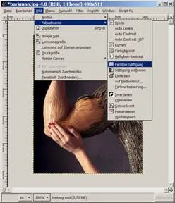 Farbton/Sättigung Dialogfenster in GIMP zur Bildfarbanpassung