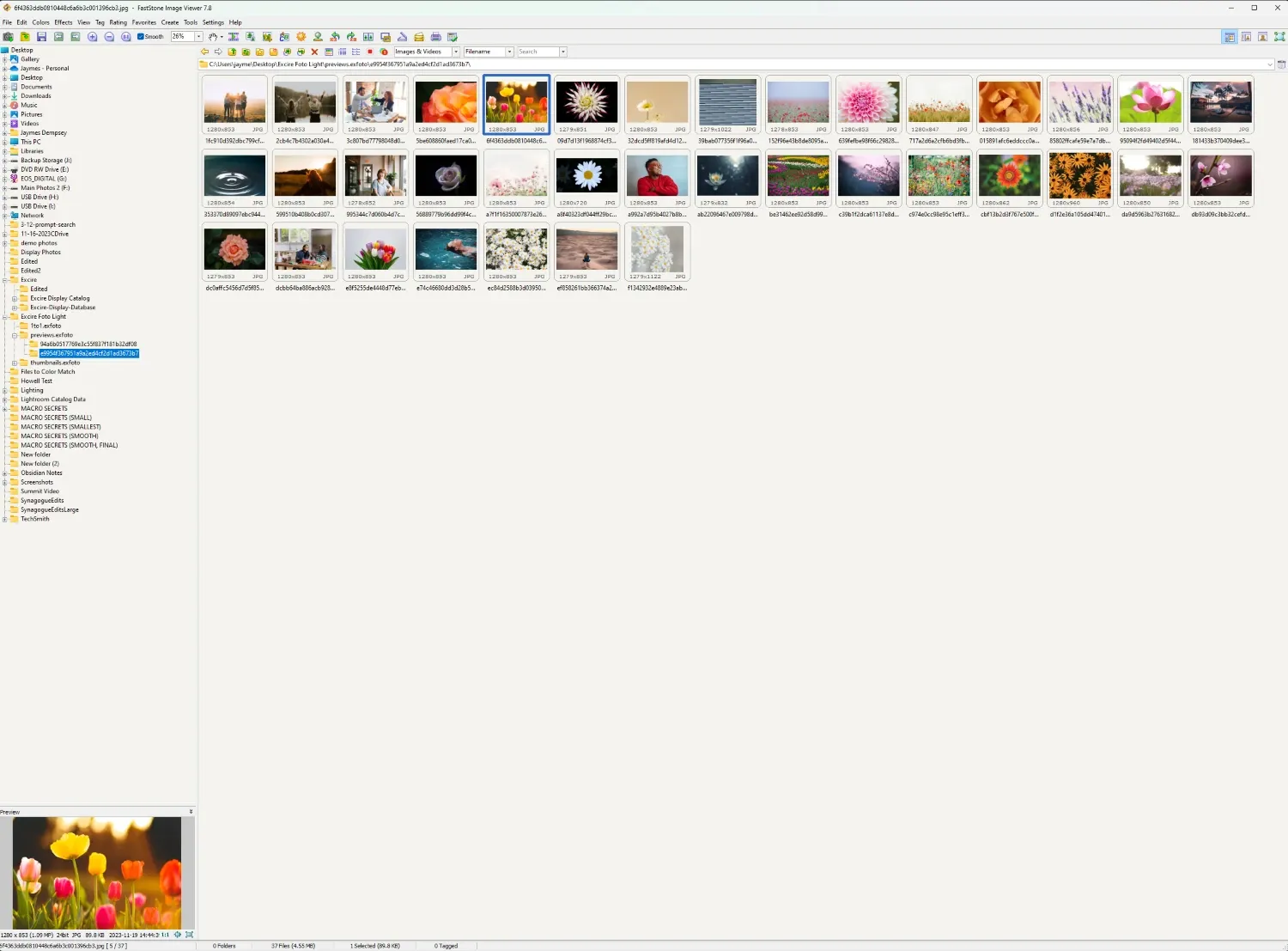 FastStone Image Viewer main layout with a grid of thumbnails