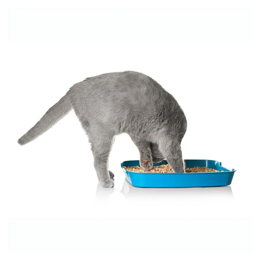 Feine Granulate der Boxengold Katzenstreu Pellets