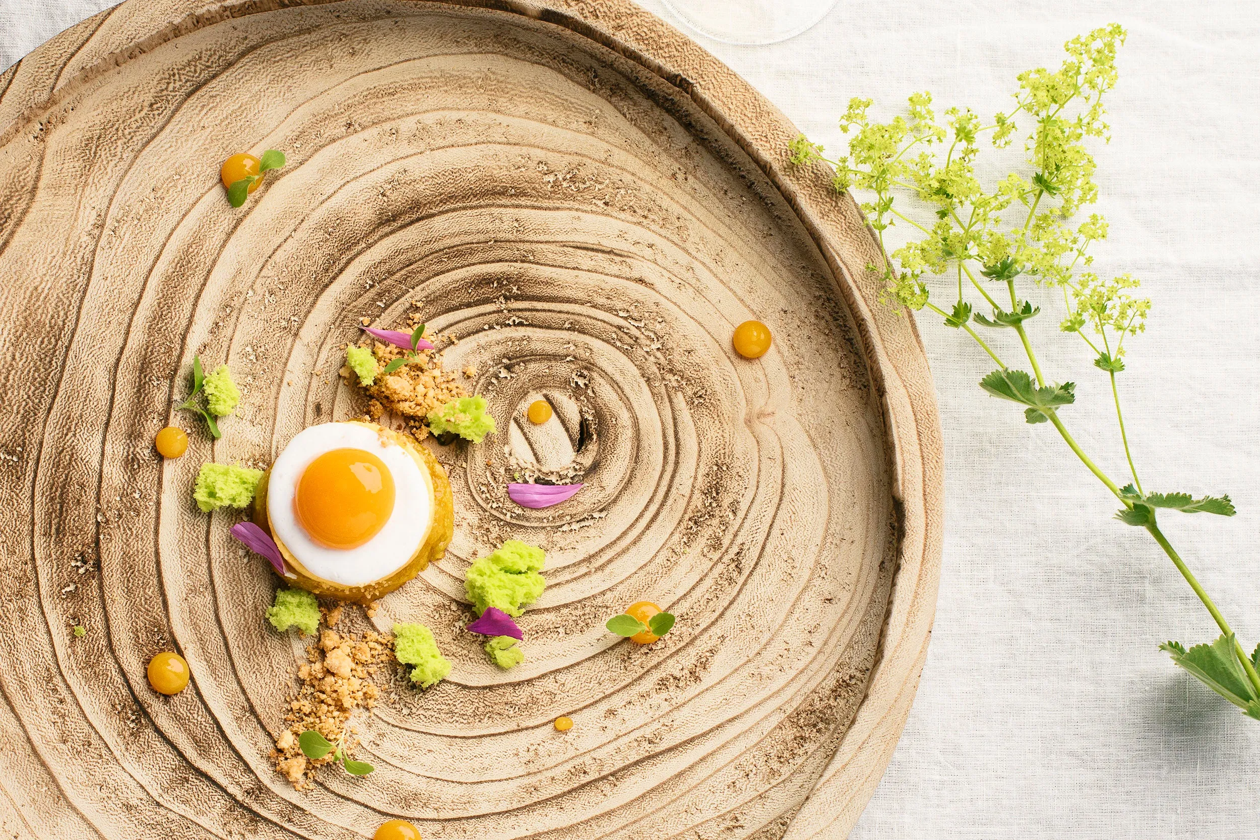 Feines Aprikosenmousse im Spiegelei-Look, ein Gault-Millau Dessert zum Nachkochen