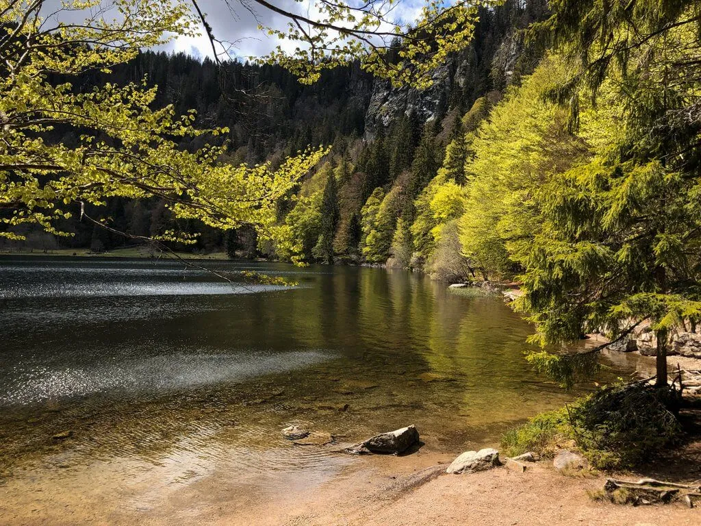 Feldsee-Hochschwarzwald