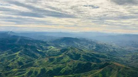 Fidschianische Landschaft mit einem Mix aus grünen Wäldern, Kokospalmen und weißen Sandstränden, die in das türkisfarbene Meer übergehen.