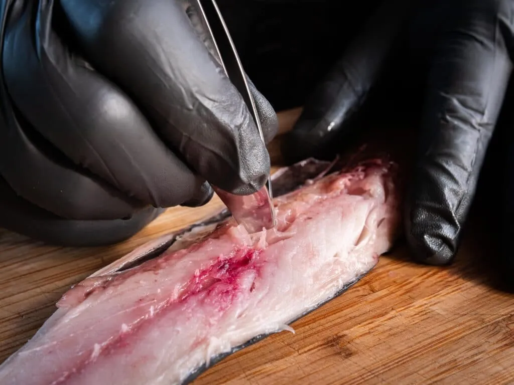 Fischgräten vorsichtig mit einer Zange entfernen, eine wichtige Vorbereitung für alle Fisch Grillrezepte, die unbeschwerten Genuss versprechen