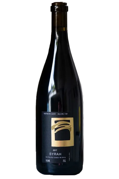 Flasche Syrah Prestige von Bernard Cavé, Weinempfehlung zu Gault-Millau Pilz-Kroketten