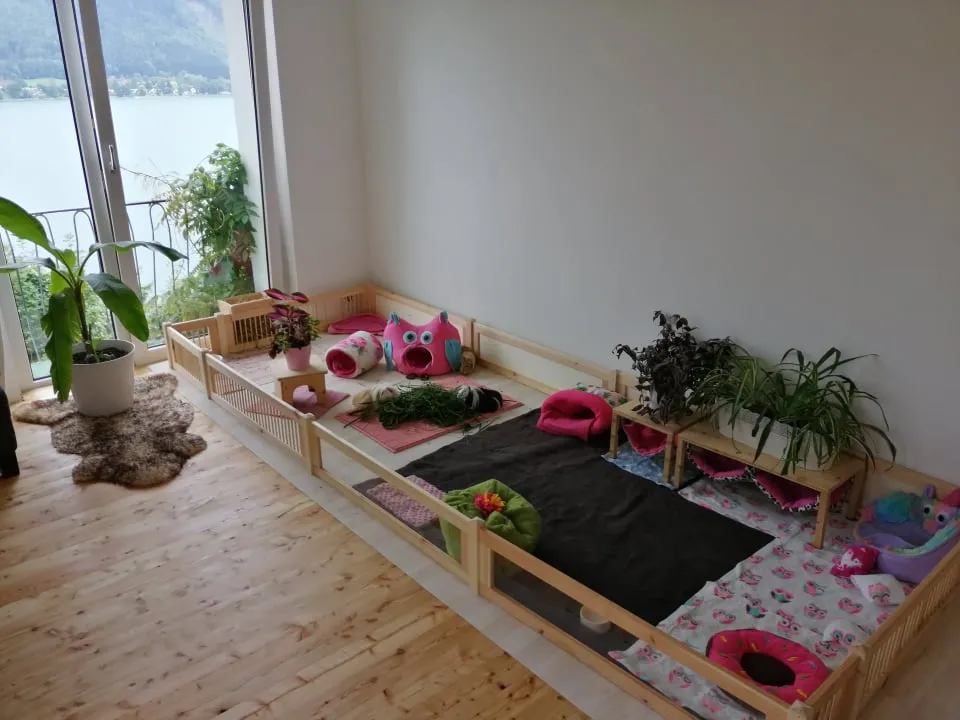 Flexibles Stecksystem-Gehege für Meerschweinchen in der Wohnung