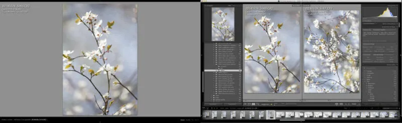 Fotoverwaltung Sofware Lightroom