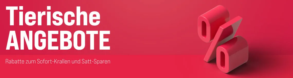 Frau füllt Katzenstreu in ein Katzenklo