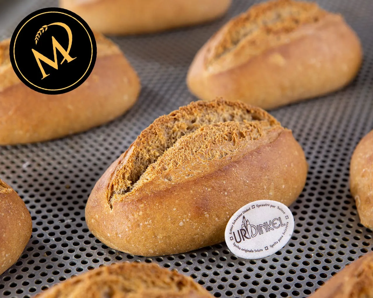 Frisch gebackene UrDinkel Brötchen mit knuspriger Kruste und weicher Krume, perfekt für ein gesundes Frühstück.