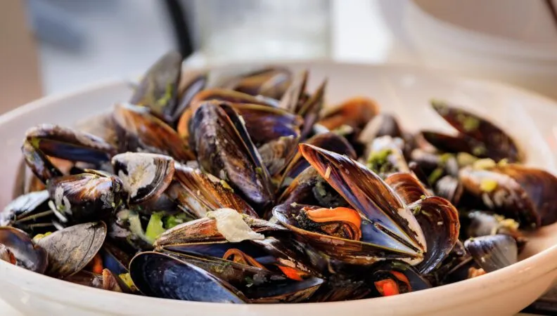 Frisch gekochte Muscheln in einem Topf mit Brühe, serviert mit Pommes Frites