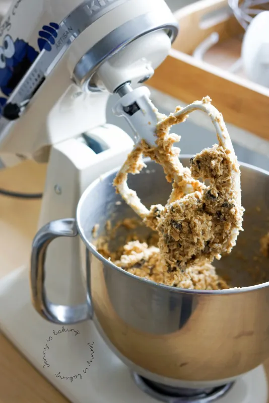 Frisch zubereiteter Haferkeksteig mit vielen Schokoladenstückchen in einer Schüssel