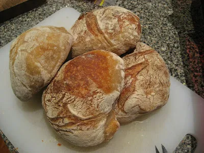 Frische Ciabatta-Brötchen, bereit zur Zubereitung köstlicher Pizza Brötchen