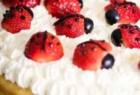 Frische Erdbeeren, Heidelbeeren, Sahne und Schokoschrift als Zutaten für die Kuchenverzierung